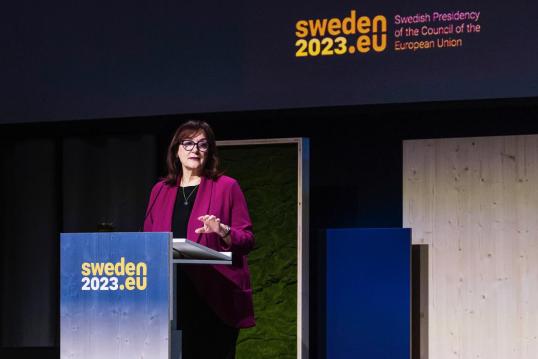 VP on Conference in Stockholm
